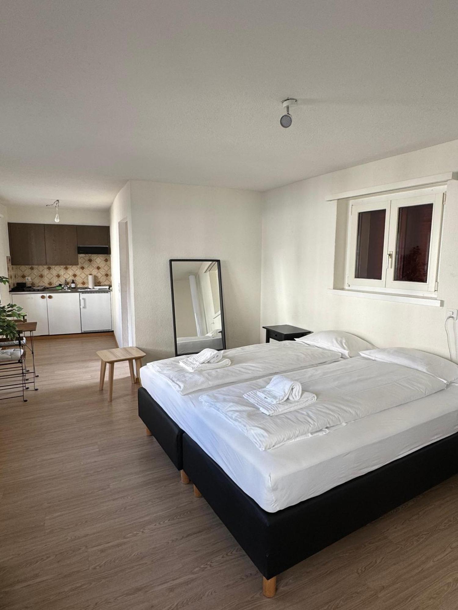 Apartment Comfortable In Great Location Zurich
