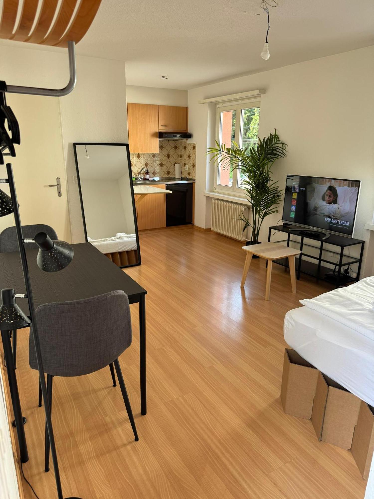Apartment Comfortable In Great Location Zurich