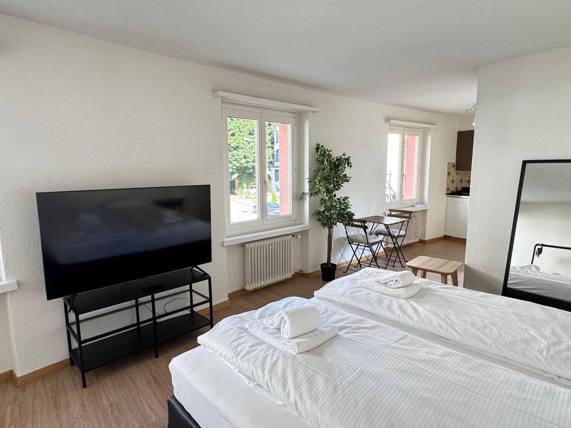 Apartment Comfortable In Great Location Zurich